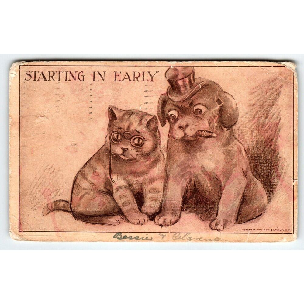 Cat and Dog Fantasy Postcard Dressed Wears Hat Smokes Cigar 1910 Roth & Langley